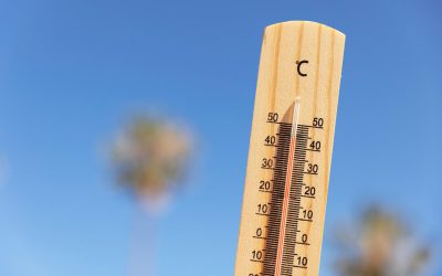 Prepariamoci all’estate, proteggiamoci dal caldo intenso e dall’ozono